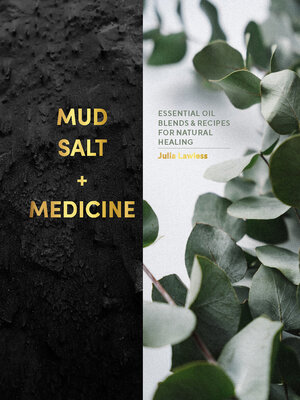 cover image of Mud, Salt and Medicine